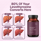 '80% Of Your Levothyroxine Converts Here', over four liver stages from week 1 to month 3, clogged through to healthy